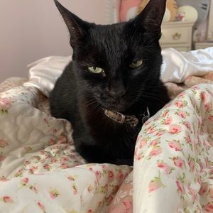 Meet your Posher, Lili